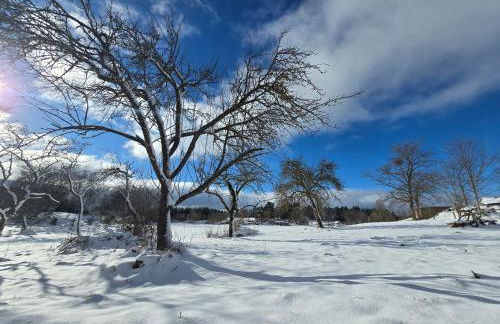GITE LA MENOU - Foto 12