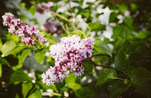 Agroturystyka u Miłosza - Foto 32