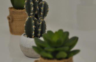 Apartment Sealight - Foto 16