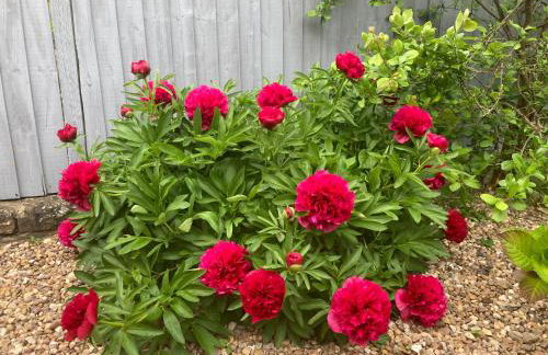 Capella Cottage, 2 Bedroom, Sleeps 4 - Foto 41