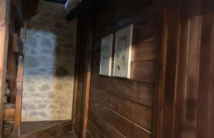 La gallina - Foto 20