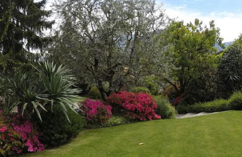 Vittoria Residence - Foto 48