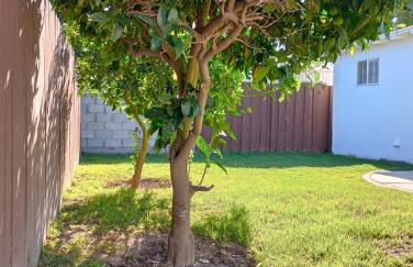 Modern Peaceful Private Oasis Near The Beach - Foto 32