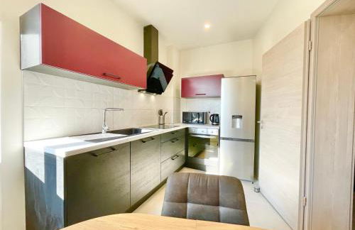 COLMAR - Appartements Deluxe - Lumineux - Stationnement Gratuit et Facile dans la rue - Foto 8