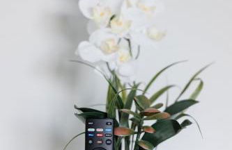 Perfect spot for Savannah vacation! - Foto 41