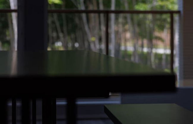 LYS GRACIEUX【Ezo Fuji hoothills】 - Photo 23