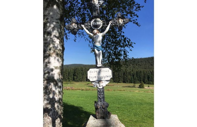 Nesterl Modern Retreat - Photo 33