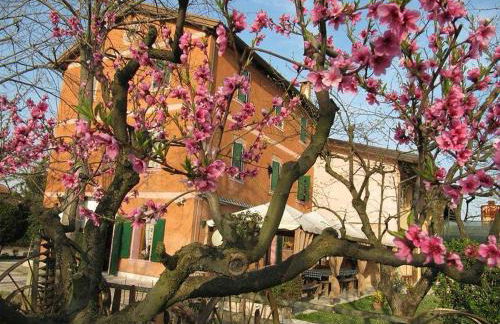 Agriturismo Praetto - Foto 4