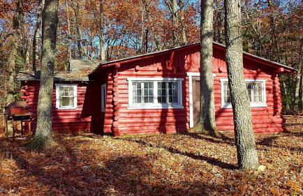 Secluded Lakeside Cabin in the Heart of the Manistee National Forest, Michigan - Foto 7