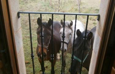 Alojamientos Manzanela - Photo 11