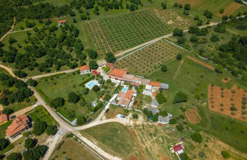 Villa Paulina -an authentic sense of Istrian life - Photo 76