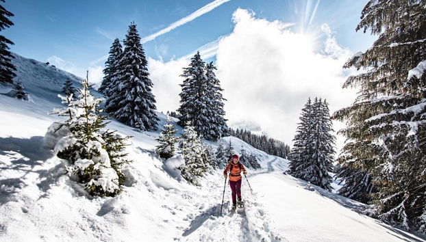 Orchidee OD5 Nature & Telecabine 4 Pers - Foto 5, Deportes de invierno