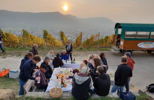 Studio 22, Terrasse,Pool,Sauna,Ofen - Foto 26