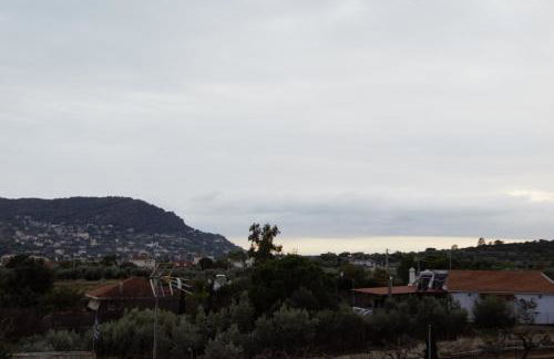 Villa Filoxenia all seasons, near airport, sea, Athens - Foto 58