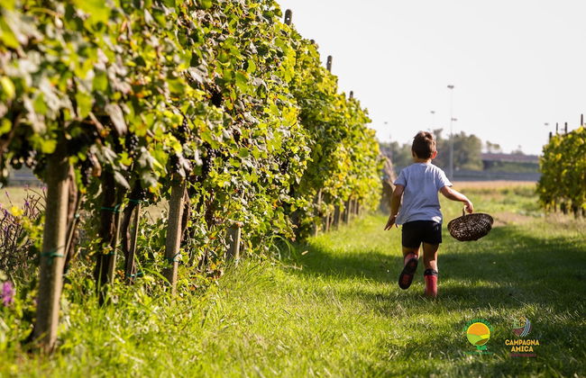 Agriturismo ai Carpini - Foto 40