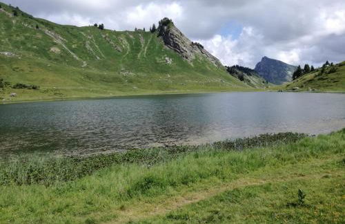 Le Génépi - Foto 20