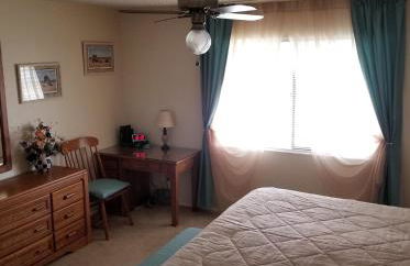 Island Life - Foto 15