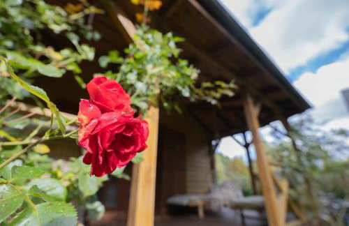 Dom wakacyjny w kratkę & spa - Foto 21