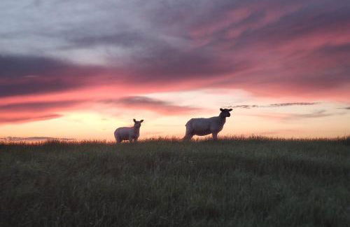 Haus JADEHUUS - Foto 28