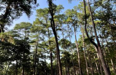 Cozy Cabin Escape - Foto 44