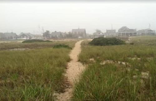 Fresh and Crisp Pet Friendly Studio - Foto 8