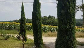 charmant logement à la campagne - Photo 5, Garden