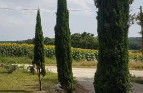 charmant logement à la campagne - Photo 5