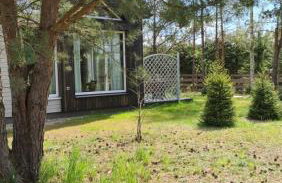 Kruszkanawierzbie - Foto 42