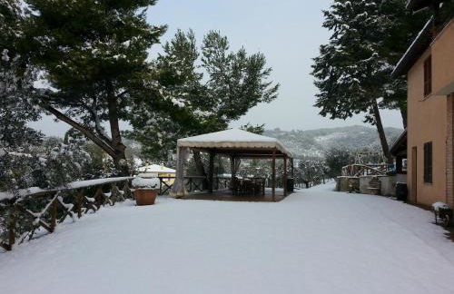 Azienda Agrituristica Il Moraiolo - Photo 25