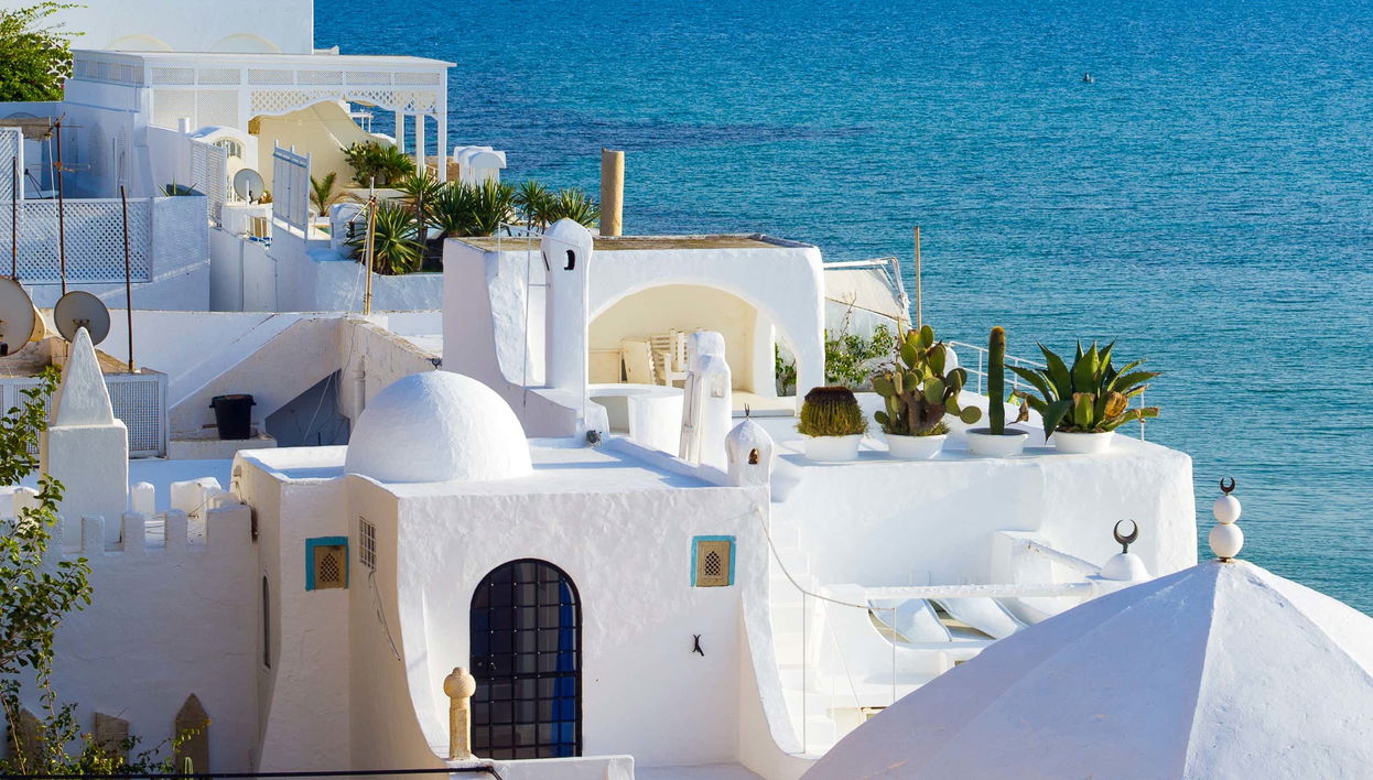 Excursión a la península del Cabo Bon