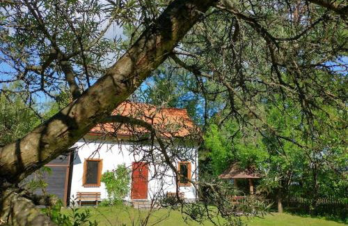 Wigierska Chatka - Foto 23