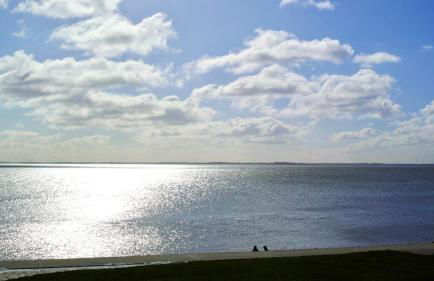 Am Horumertief - Foto 24