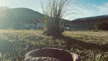 La Pierre des Volcans Chaleureux Calme Champêtre - Foto 5