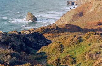 Tree Hill Cottage, Sleeps 4, Stratton, Bude - Foto 3
