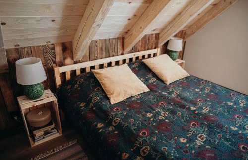 Mech i brzoza - Foto 20