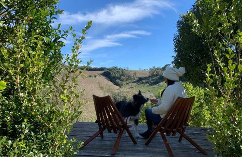 Casa na árvore com banheira, piscina, trilha, cavalo - Foto 29
