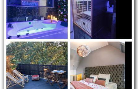 Sauna, jacuzzi, terrasse et parking - Foto 1