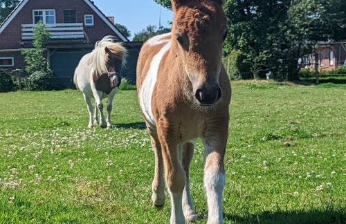 Ferienhof "Karl" - Foto 18