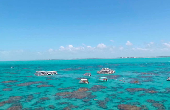 Balade en bateau avec snorkeling dans le récif de Maracajaú - Photo 4