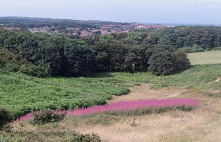 The cabin with the view - Photo 14