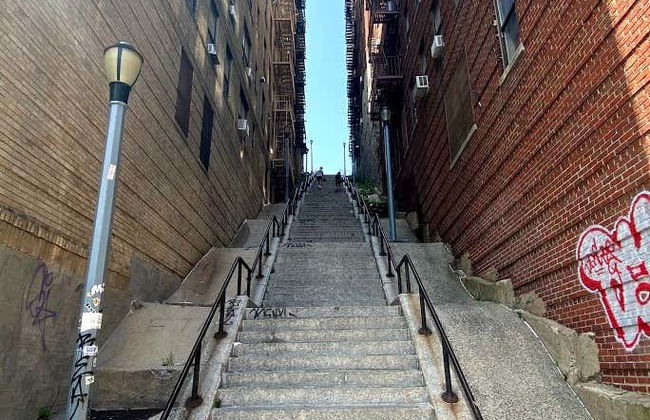 Visita guiada por el Bronx - Foto 3