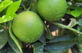 Casa El granero de Antonio - Foto 66