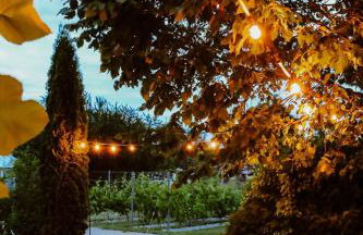 Agroturystyka Pod Dębem - Foto 29