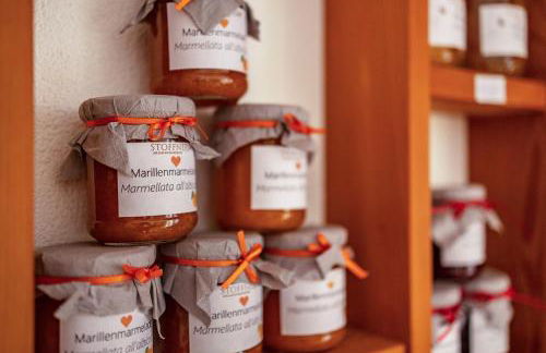 Stoffnerhof Apt Sonnenblume - Photo 36