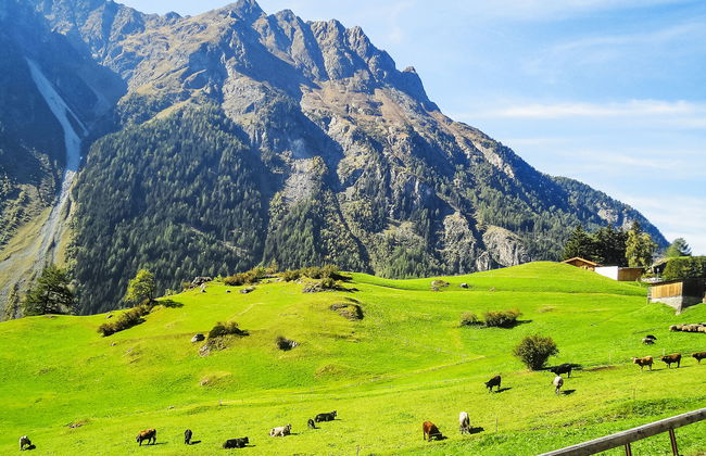 Berghof Reich - Foto 26