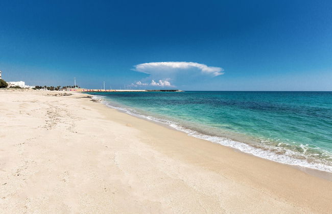 L'Attico di Alessia - Foto 34