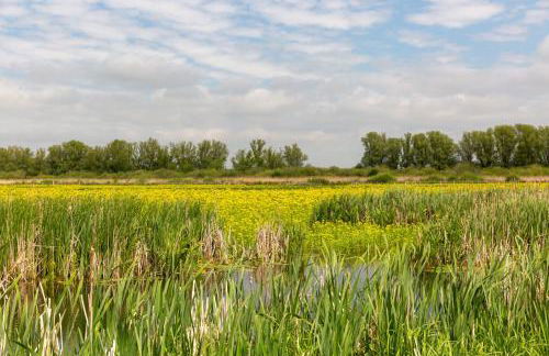 Haus an der Peene - Foto 6