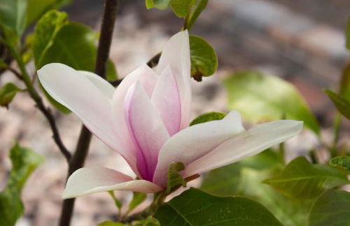 Ferienwohnung Sofia - Foto 21