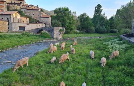 Apartament Vent de Port - Foto 37