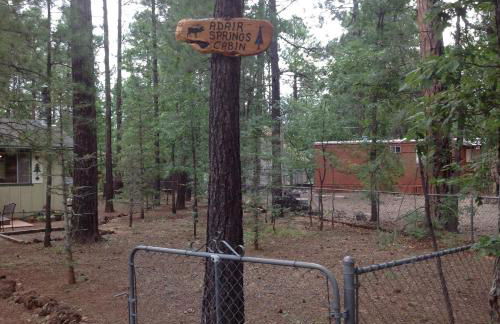 Adair Springs Cabin - Foto 22